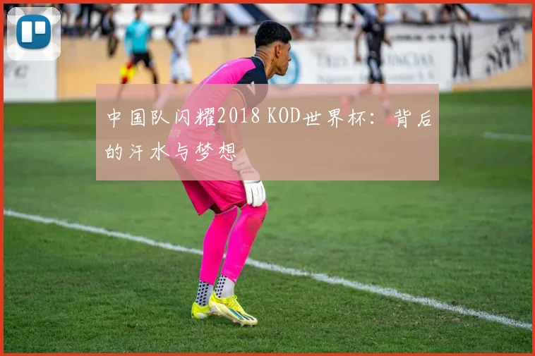 中国队闪耀2018 KOD世界杯：背后的汗水与梦想