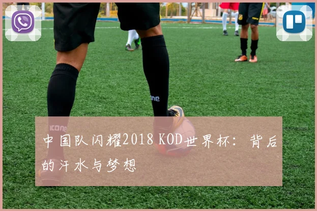 中国队闪耀2018 KOD世界杯：背后的汗水与梦想