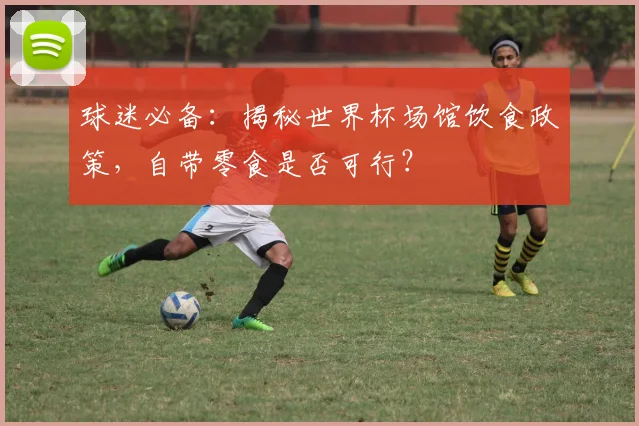 球迷必备：揭秘世界杯场馆饮食政策，自带零食是否可行？
