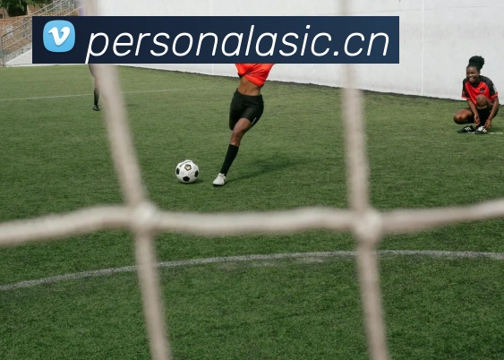 App Interface Preview